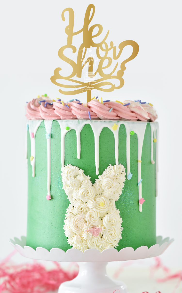 He or She Cake Topper