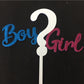 Boy or Girl Cake Topper