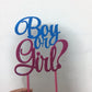 Boy or Girl Cake Topper